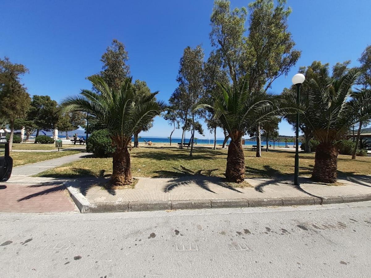 Villa Malena Alykes Beach Volos Exterior photo
